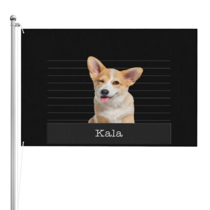 Make the Memory Three-layer Double-sided Flag